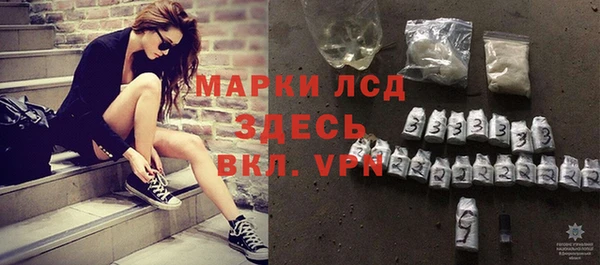 шишки Баксан