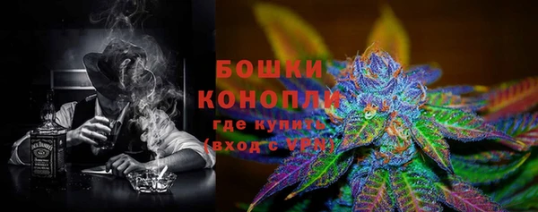 шишки Баксан