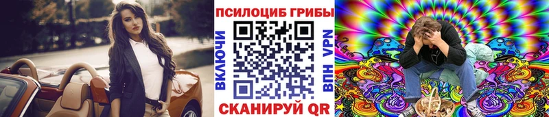 Купить закладки  Асино  Галлюциногенные грибы GOLDEN TEACHER 