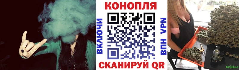 Бошки Шишки семена  Купить где  Асино 
